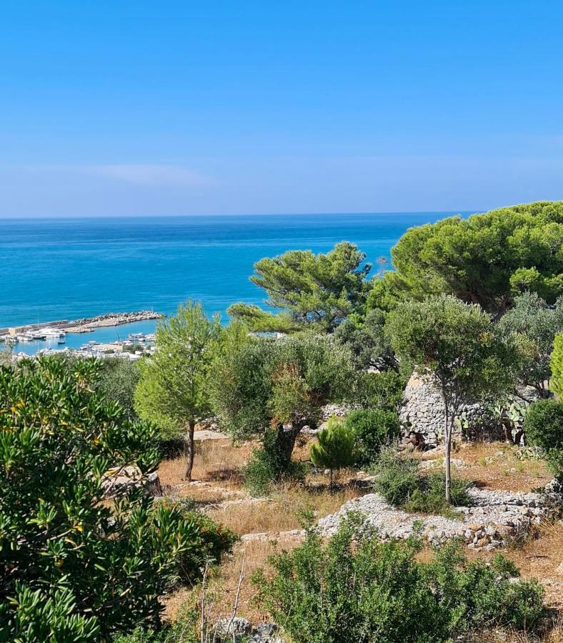 Villa Panoramica Sunset House Torre Vado Εξωτερικό φωτογραφία