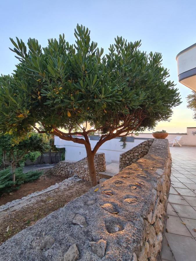 Villa Panoramica Sunset House Torre Vado Εξωτερικό φωτογραφία