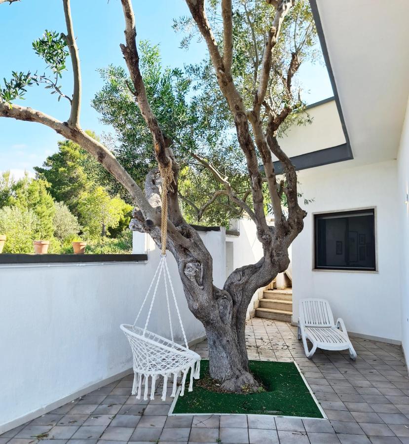 Villa Panoramica Sunset House Torre Vado Εξωτερικό φωτογραφία