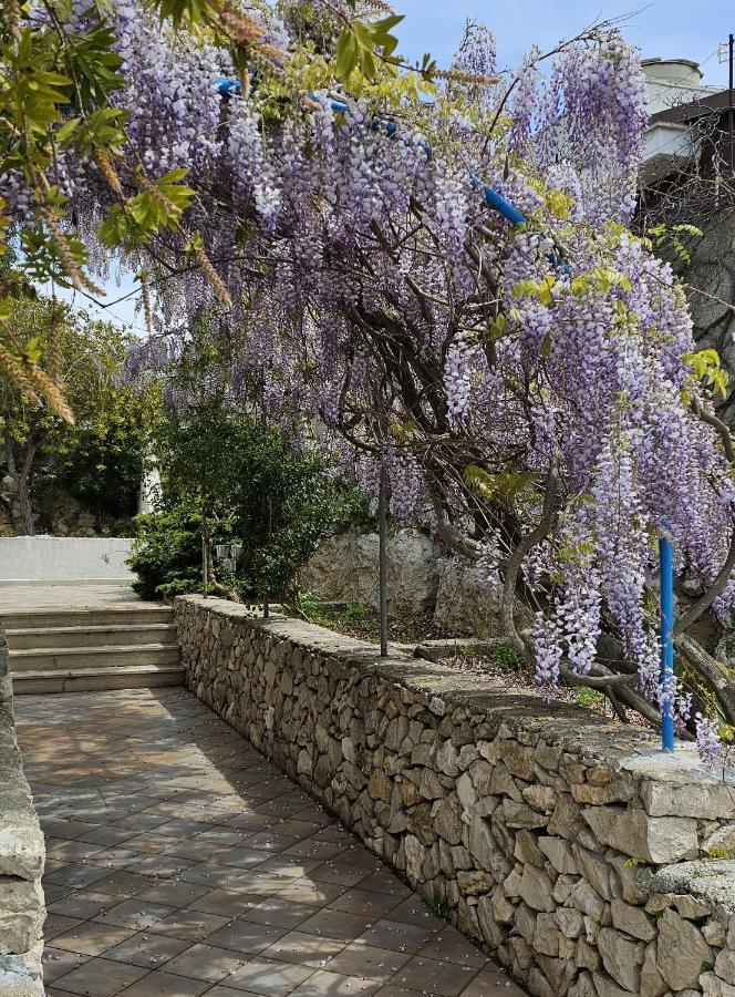 Villa Panoramica Sunset House Torre Vado Εξωτερικό φωτογραφία
